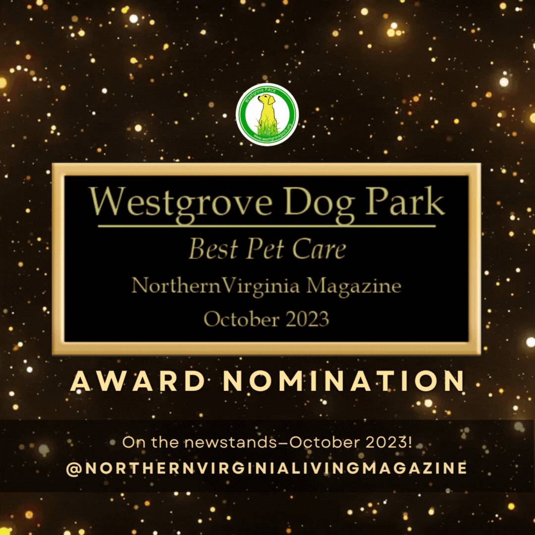 Westgrove PACK is nominated as Best Dog Care by Northern Virginia Living Magazine (2023)!
