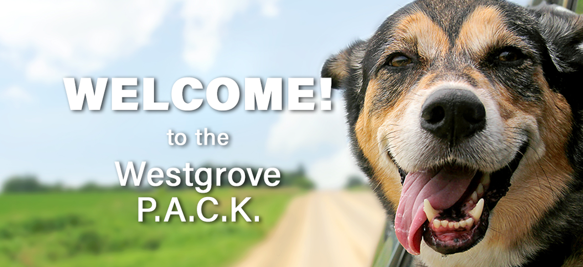 Welcome to Westgrove P.A.C.K. greeting, photo og dog 